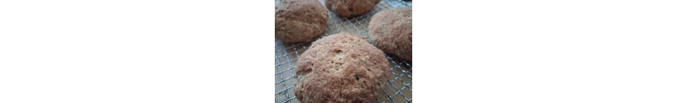 Hamburger Brötchen gf